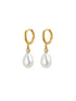 Gold Stainless Steel Pearl Drop Earrings – Huggie Hoop Design with Freshwater Pearl, Elegant & Hypoallergenic